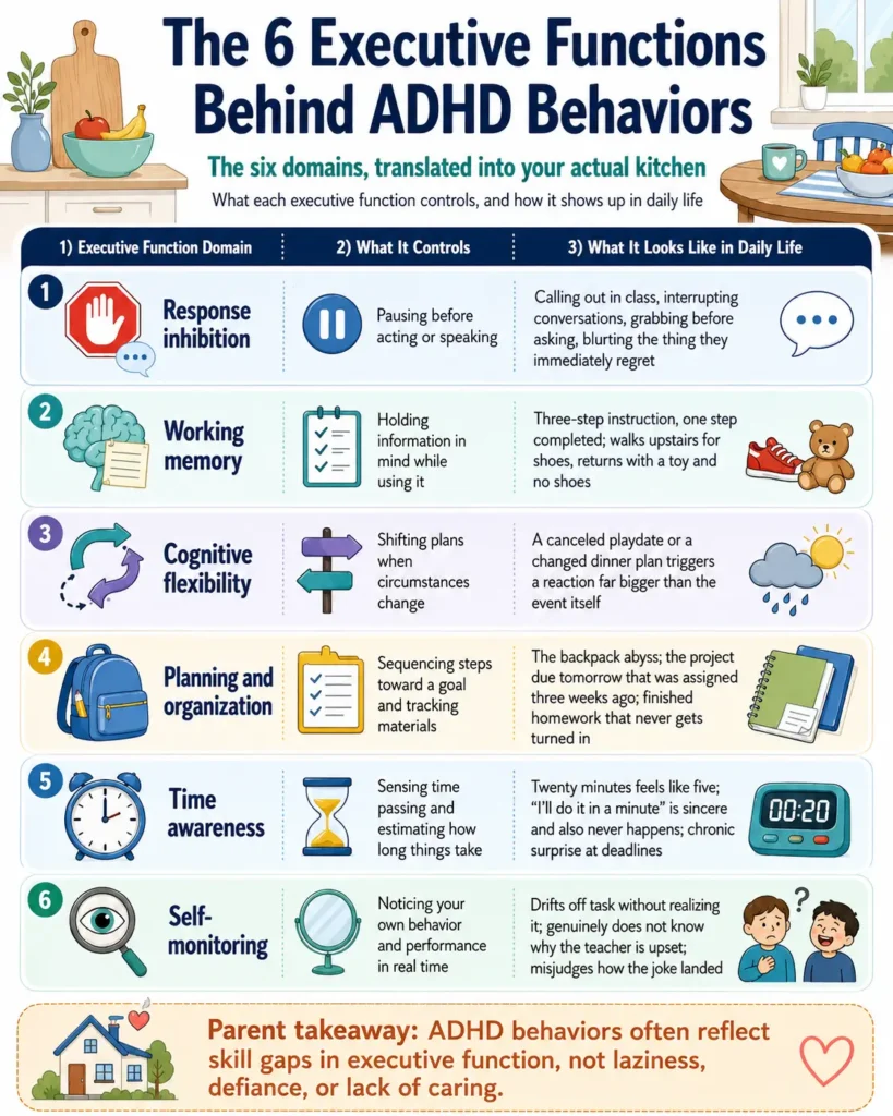 Understanding ADHD executive functions in daily life